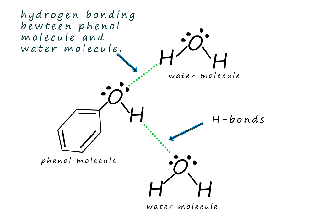 hydrogen bonding between water molecules and phenol molecule